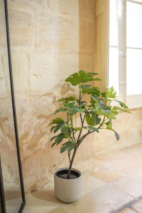 Chic, Stylish & Spacious Flat In Central Valletta Exterior photo